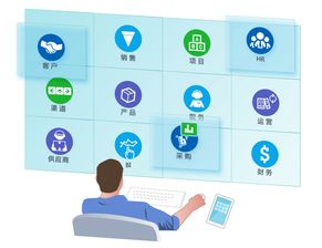 8manage企業管理軟件 通用型與定制開發的選擇之道